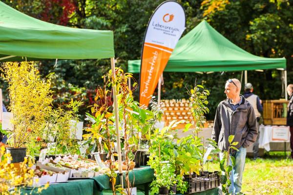 Mann bei Verkaufsstand mit Obstbäumen