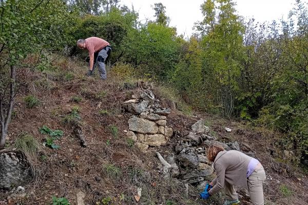 Menschen beri der Landschaftspflege