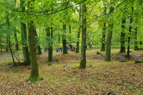 Wandergruppe im Wald