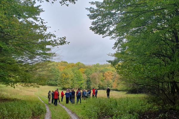 Wandergruppe am Weg am Waldrand mit Aussicht auf Wiese