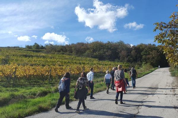 Wandergruppe entlang der Weingärten