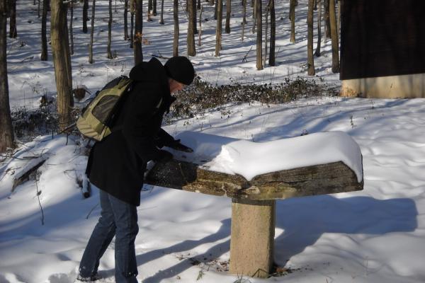 Frau betrachtet Infotafel im Winterwald