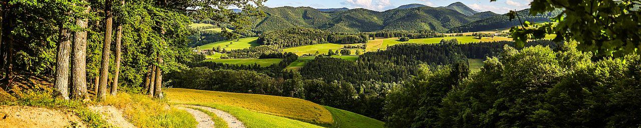 Blick auf den Wienerwald