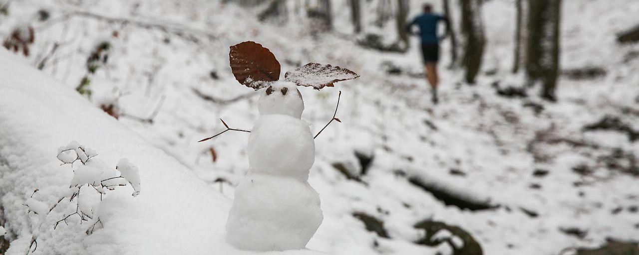 Schneemann im Wald