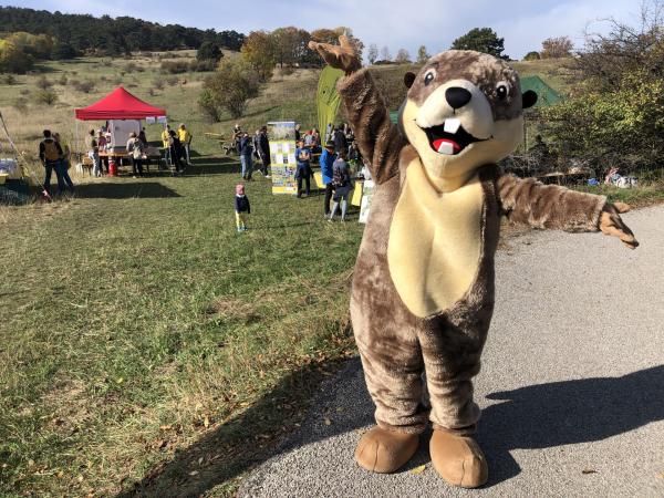 Otter-Kostüm-Person auf Wiese mit Zelten und Ständen. Outdoor-Event bei Tageslicht, klarem Himmel, Bäume im Hintergrund.