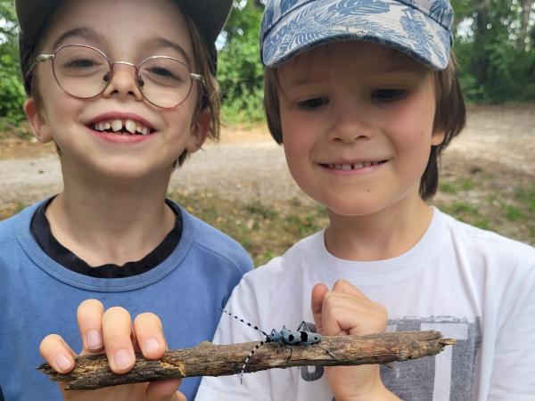 Zwei Kinder bestaunen einen Alpenbockkäfer