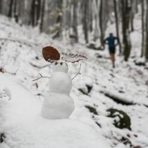 Schneemann im Wald