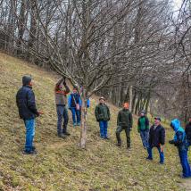 Personengruppe beim Obstbaumschnittkurs auf Streuobstwiese