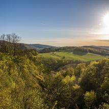 Blick über den Wienerwald