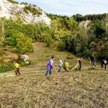 Landschaftspflege beim Steinbruch