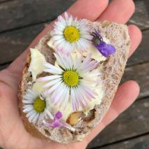 Blüten von Gänseblümchen, Veilchen und Taubnessel auf Butterbrot