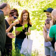 Riechprobe in der Gruppe an der Pflanze