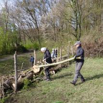 Personen errichten Hecke mit Naturmaterialien