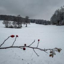 Biosphärenpark Adventkalender 2025