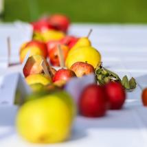 rote und gelbe Äpfel auf weißen Tischtuch