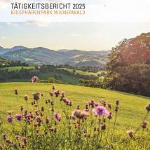 Tätigkeitsbericht 2025