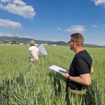 PErsonen im Feld